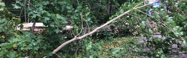 FOTOD | Raske õnnetus Läänemaal: Torm lennutas puu autokabiini