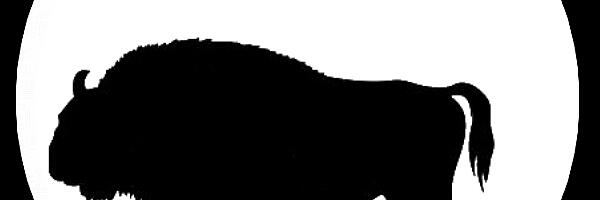 🐂 HÄRG TULIHOBUSE AASTAS 2026 – KANNATLIKKUSE, PAINDLIKKUSE JA SISEMISE JÕU PROOV