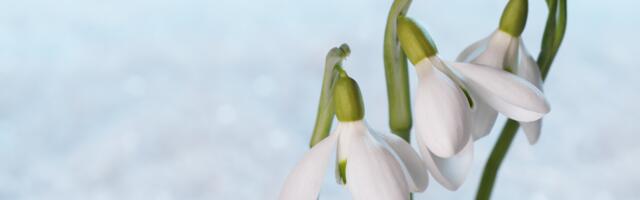 Päevahoroskoop : esmaspäev, 2. märts