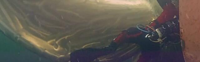 Firmad: riigi keeld Venemaale suunduvaid laevu teenindada kahjustab meid