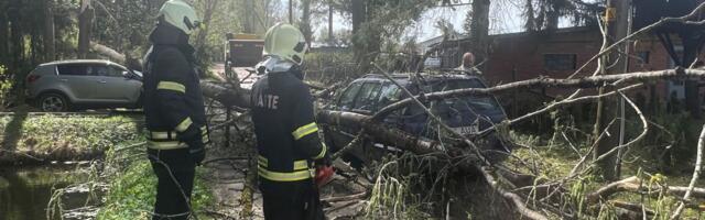 Päästeamet autodega liiklejatele: Olge endiselt ettevaatlikud, sest teele võib olla kukkunud puid