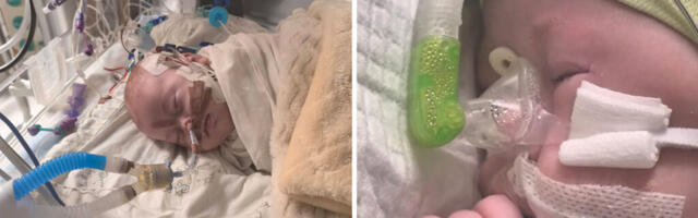 PALUN AITA EMAL OLLA NEIL OTSUSTAVAIL PÄEVIL JUULI KÕRVAL!