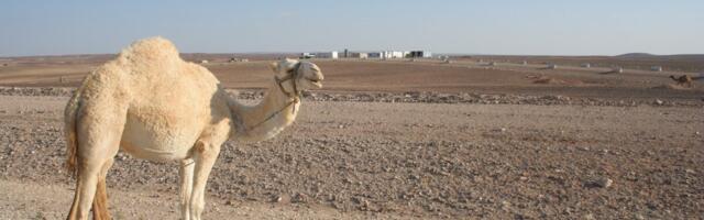 Eesti Energia sai 7 miljonit dollarit erakorralist dividendi Jordaaniast