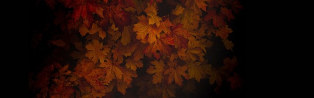 Mesečni horoskop za oktobar 2021: Pazite šta govorite!