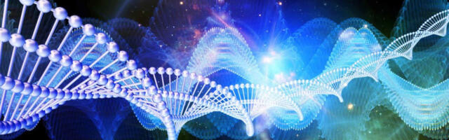 Kaksteist Meisterlikkuse Omadust