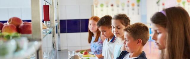 TAI asub koolitoitu uurima