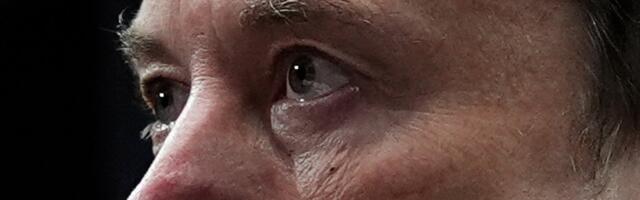 Wikipedia hoia alt! Elon Musk teatas, et käivitab peagi oma Grokipedia