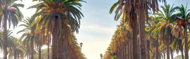 Eksootilise loodusega Maroko vaid 167 euro kaugusel