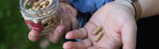 Seenemürgistusi on sel aastal palju, samal ajal on kärbseseenest saanud kuum kaup