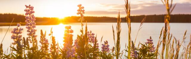 Päevahoroskoop : kolmapäev, 20. august