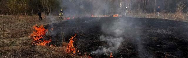 Tänavu on olnud üle 200 metsa- ja maastikutulekahju. Kas ees terendab tuletegemise keeld?