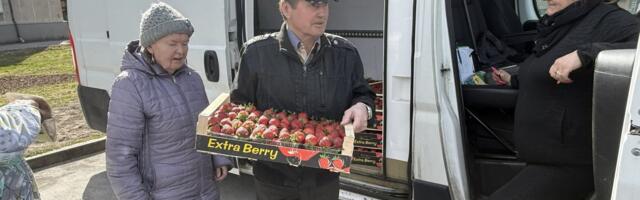 Maasikamüüjad teevad üksteise võidu mööda Eestit kaubaringe: Palun kast! Palun mulle kaks kasti!