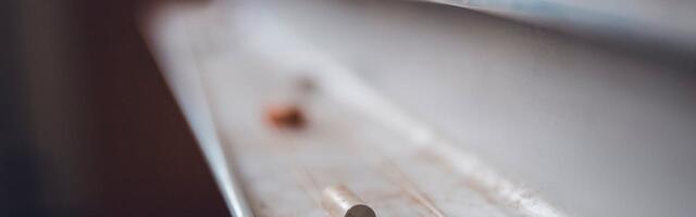 Koolid harjutasid virtuaalõppusel tegutsemist pommiähvarduse korral