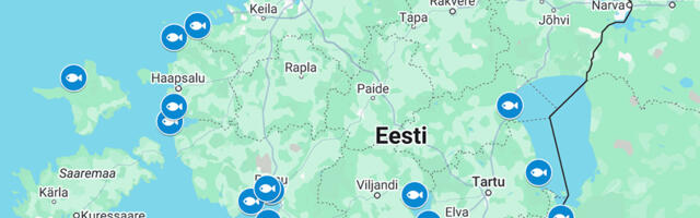 Laupäeval toimub seitsmes avatud kalasadamate päev