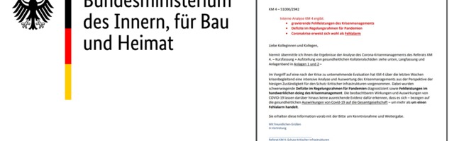 Koroonaleke Saksamaa ministeeriumis: Koroonaviirus on “globaalne valehäire“!, 1. osa