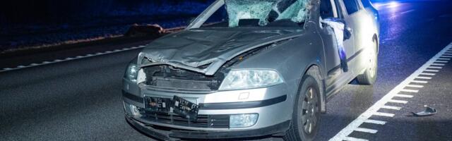 KAART | Vaata, millistel teelõikudel juhtub kõige rohkem suurulukitega seotud liiklusõnnetusi