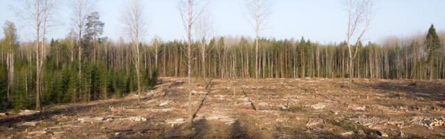 Riigikogu infotunnis arutati raiemahtude teemat