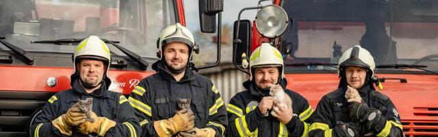 Kassipojad ja vabatahtlikud päästjad ühes kalendris!