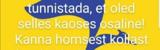 Mõned poliitvanasõnad oravate kohta