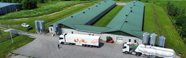 Koonga linnufarm tahab kolm korda suuremaks kasvada