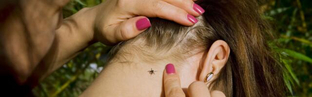 Eestis registreeriti sel aastal üle 3300 puukhaiguse juhtu, puukide aktiivsus oli kõrge isegi sügisel