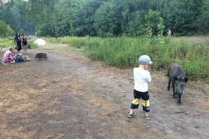 Pilk Berliinist VII  – Metssiga Elsa ja tema kodulinn