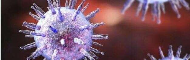 Scientists Uncover Mechanism Viruses Use To Cause Cancer