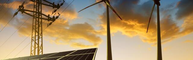 Mari Kartau: puidutööstuse kõrval liigub suur raha ka rohemajanduses