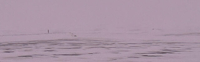 Piirivalvurid, päästjad ja kohalik kalur aitasid Peipsi järvelt tagasi kaldale udusse eksinud inimesed