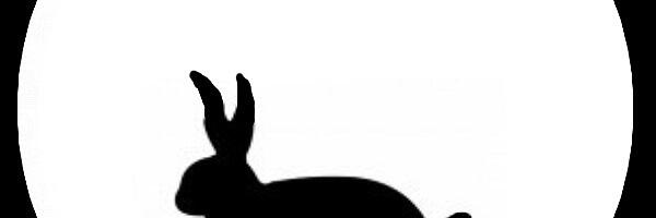 🐇 JÄNES TULIHOBUSE AASTAS 2026 – SISEMISE TUGEVUSE, PIIRIDE JA KÜPSEMISE AEG