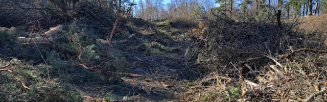 IGA LINNUPOEG TAHAB ELADA! LINNUPOEG EI SAA PÕGENEDA, SINA SAAD TEGUTSEDA!