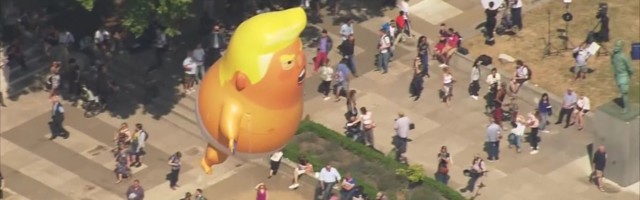 Reporter: Mähkmetes Beebi-Trump pannakse muuseumi