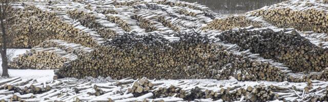 PUIDUHINDADE GRAAFIKUD | Aastaga on küttepuit on pea poole odavamaks muutunud