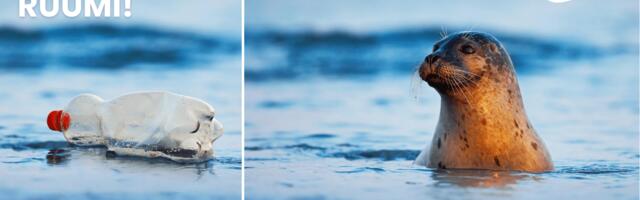 Seitsmes Maailmakoristuspäev on esmakordselt ametlik ÜRO kalendripäev