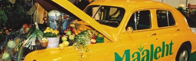 Bianca Mikovitš: meil on 2000 põhjust endasse uskuda