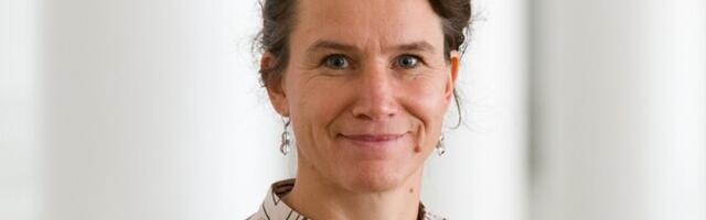 Aune Valk: arutelu kõrghariduse tuleviku üle vajab ka vertikaalset vaadet