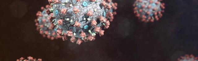 Reporter: Kuidas tegutseb Eesti uue koroonatüve Omikroni leviku valguses?