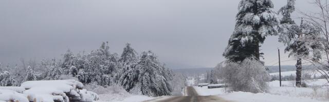 Vana-aasta viimane päev pakub lörtsi- ja vihmasadu
