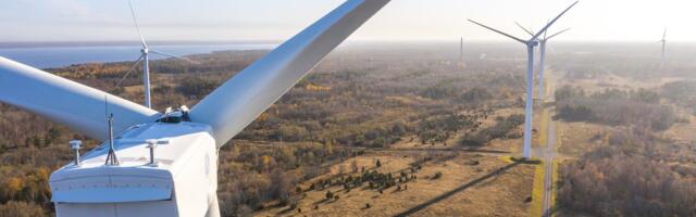 Linnukaitsjad tõmbasid tuulikute rajamisele piduri peale