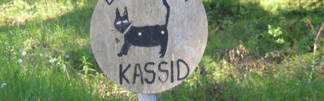 KASSID ehk debatt a’la hammas-hamba-vastu-küüs-küüne-vastu-juhhei!