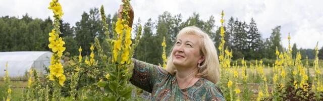 Tamme ürditalu: meie kliendid on mahetoote eest nõus maksma ka kallimat hinda