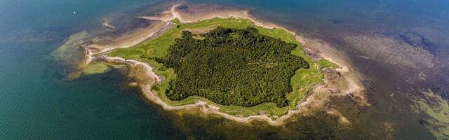 Eesti ainus müügil olev meresaar võib minna välismaalastele