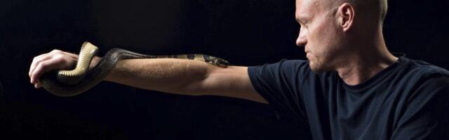 Ameeriklane süstis endale 18 aastat järjest maomürki. Teadlased tegid tema verest nüüd vastumürgi