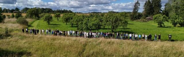 Viljandis moodustus taas kainuse rivi