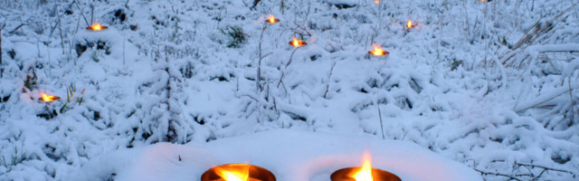 KÜÜNLAD VALGUSTASID PUUDE TAGA METSA