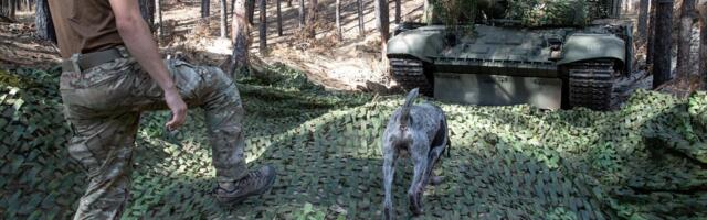 EPL UKRAINAS | Tankist lahingut ei karda. Ta lihtsalt ei kuule, mis ümberringi toimub