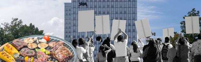 Täna kell 12 toimub Superministeeriumi ees seatapu vastane meeleavaldus