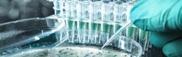 Bakteritest inimesteni: varjatud orjus