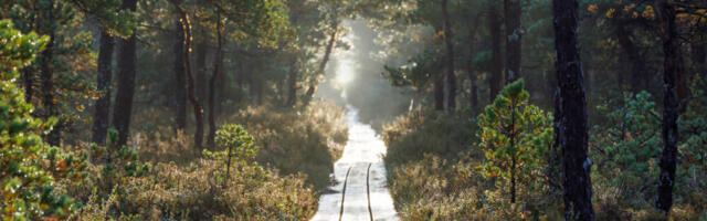 Eestis on ilm erakordselt soe – homme lausa 8 kraadi