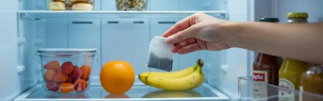 Pane teepakk külmkappi üleöö – põhjus üllatab